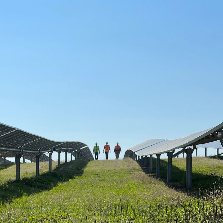 people walking between solar panels